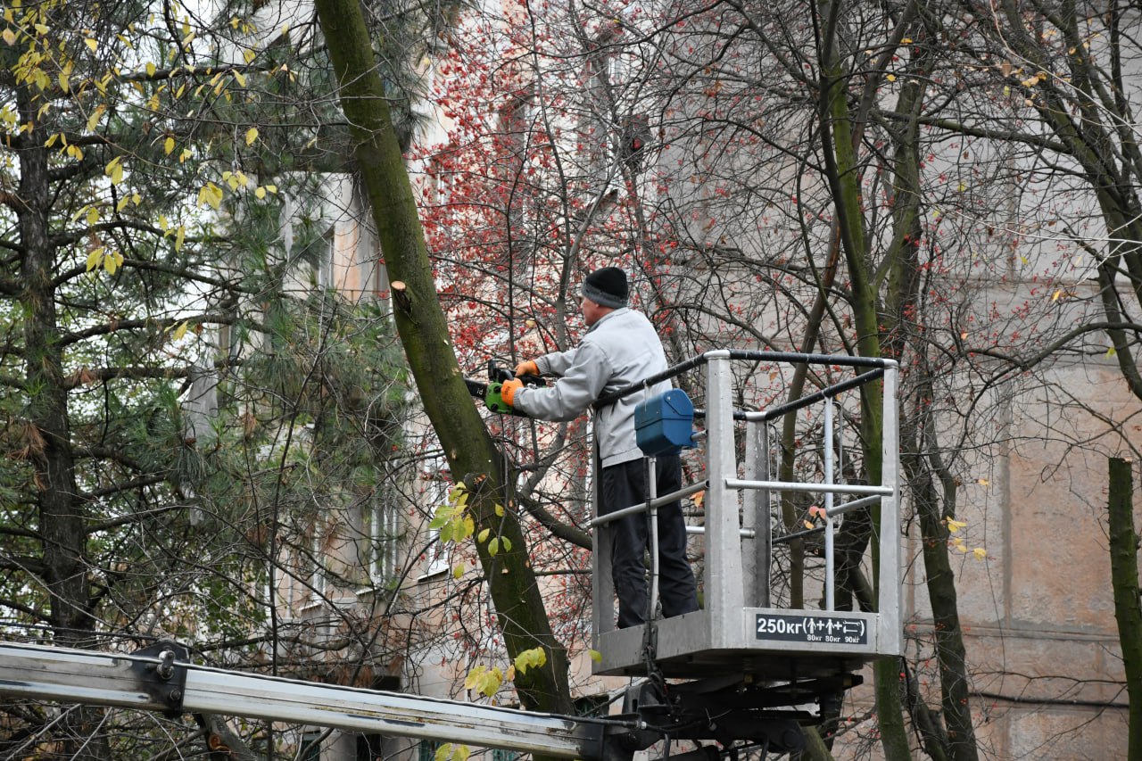 В Кировском выполнили санитарную обрезку деревьев
