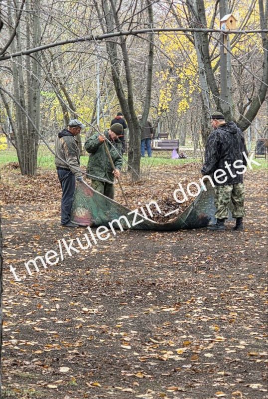 Продолжается активная работа по благоустройству парковых зон Продолжается активная работа по благоустройству парковых зон