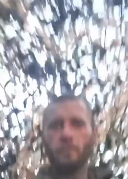 Наши бойцы взяли в плен укропчика под Покровском