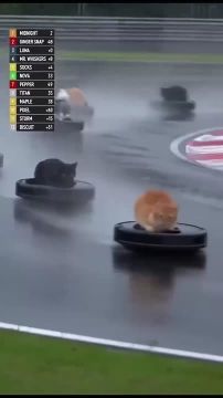 Слух: новые гоночные соревнования появились в ДНР