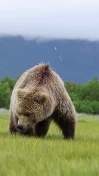 Спокойной ночи, Мариуполь!