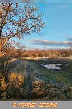Александр Шатов: 7 ноября в Республике будет облачно