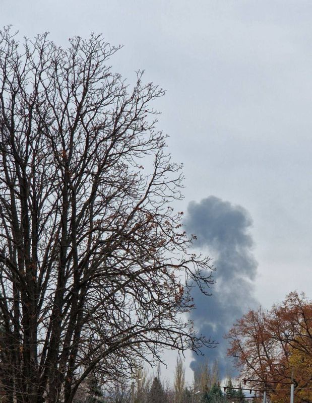 ���� �������: ������������ ������� �������� � �������������� ������ "�������" �� ���������, ����������� ��� ���������� ������������