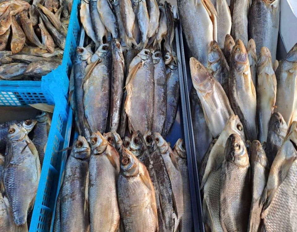 ������������ ������� � ������ ���������