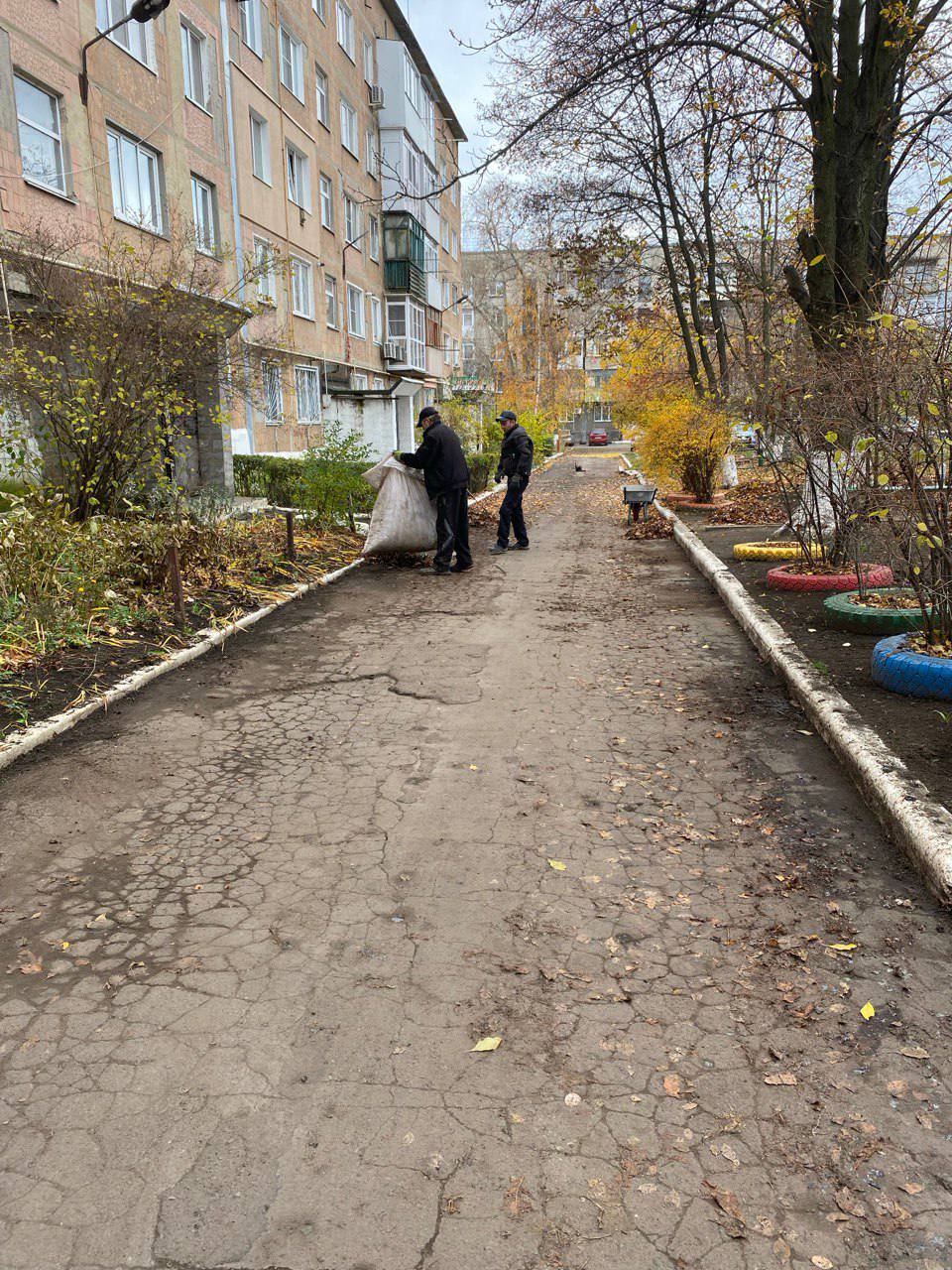 В Кировском поддерживают чистоту во дворах