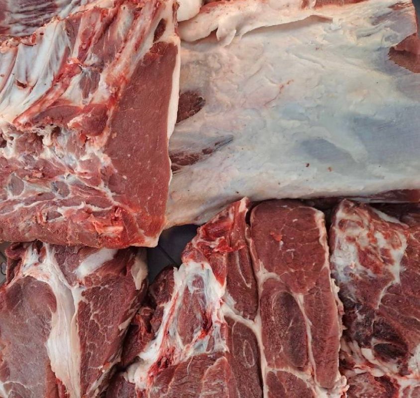 ������������ ������� � ������ ���������