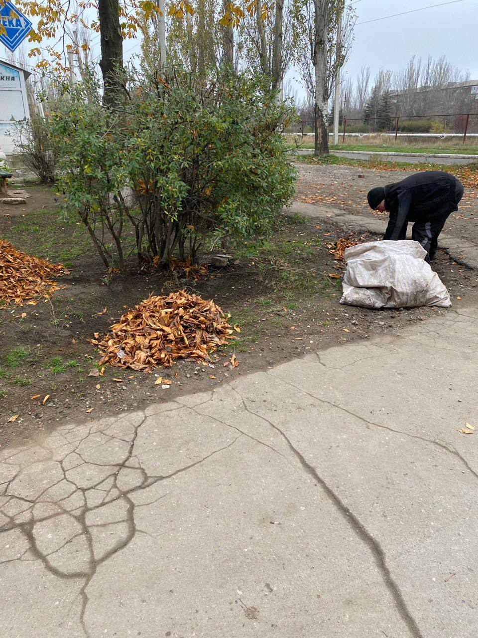 В Кировском поддерживают чистоту во дворах В Кировском поддерживают чистоту во дворах