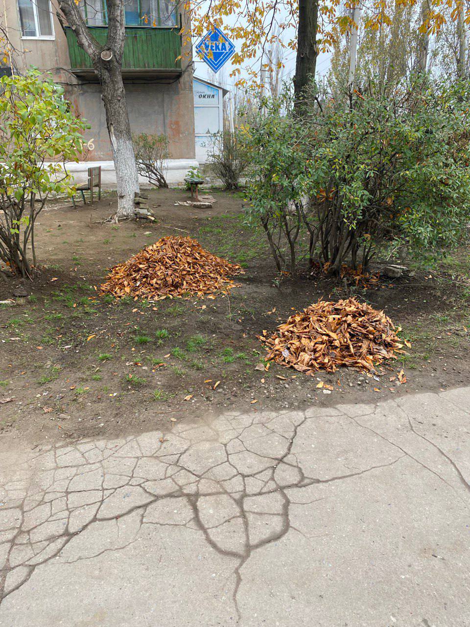 В Кировском поддерживают чистоту во дворах В Кировском поддерживают чистоту во дворах