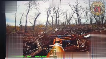 Операторы бригады Неудержимые группировки ЦЕНТР в прямом смысле разбирают опорники противника на Покровском направлении