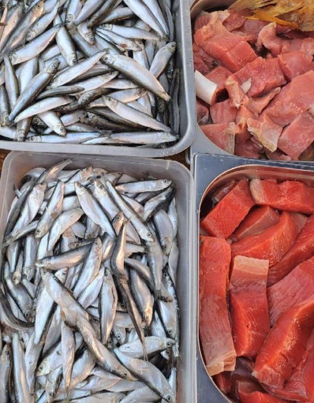 ������������ ������� � ������ ���������