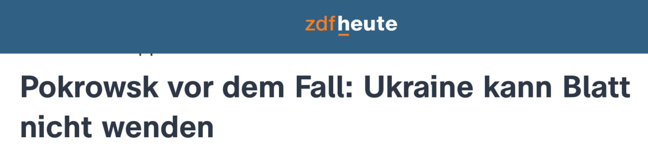 Александр Зимовский: Германская пресса из ЦДФ разгоняет зраду