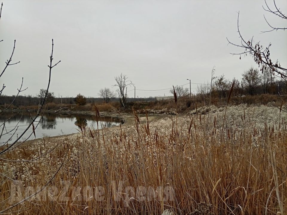 ����� �� �������: �� ��������� ����� � ��������� ������ ������� ���������� ������� ����