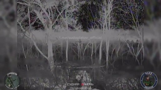 Операторы ФПВ наказали украинских артаводов на Акации под Покровском в районе н.п. Мирное