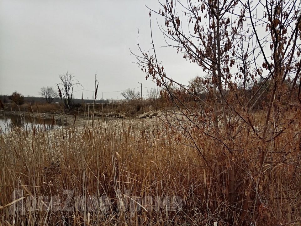 ����� �� �������: �� ��������� ����� � ��������� ������ ������� ���������� ������� ����