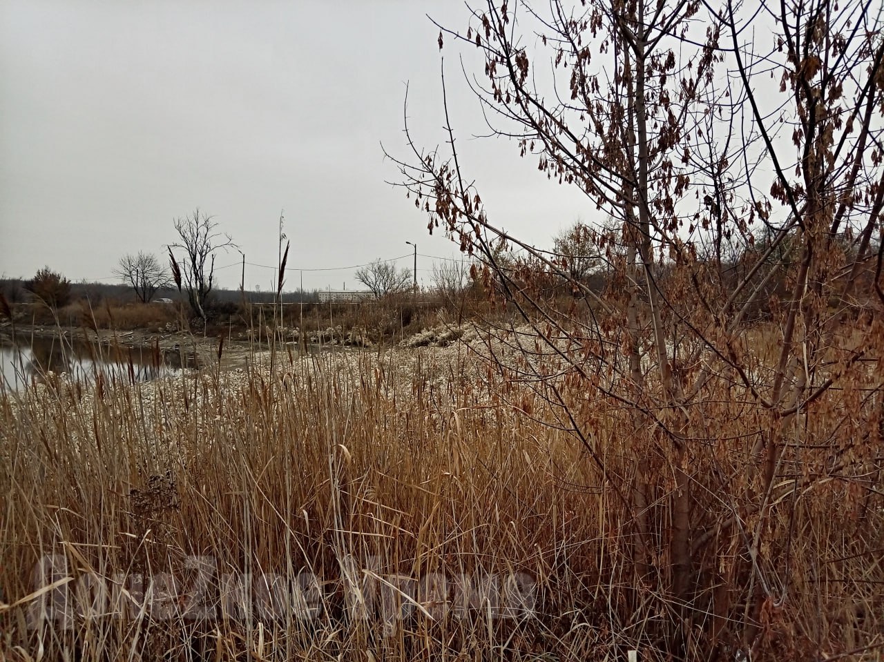 Дожди не помогли: из Питьевого пруда в Кировском районе Донецка продолжает убывать вода Дожди не помогли: из Питьевого пруда в Кировском районе Донецка продолжает убывать вода