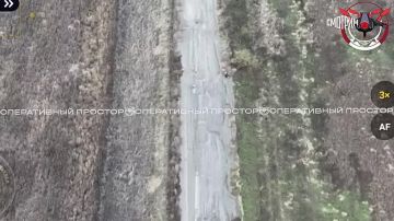 «Кольцо продолжает сжиматься»: военкор ВГТРК Евгений Поддубный подтвердил, что положение ВСУ на Красноармейском и Купянском направлениях сейчас крайне тяжёлое — в окружении оказались несколько десятков батальонов