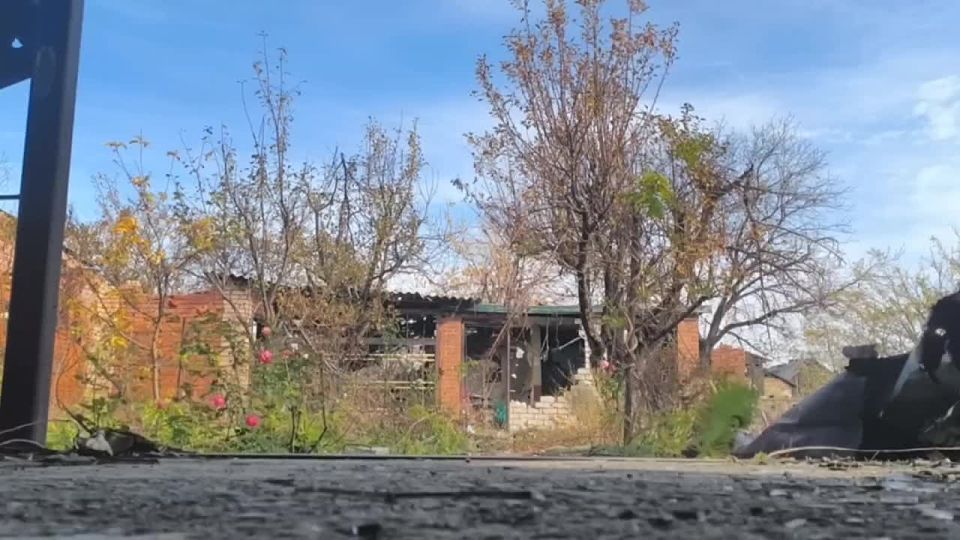  : .   2-        ,        -     ...