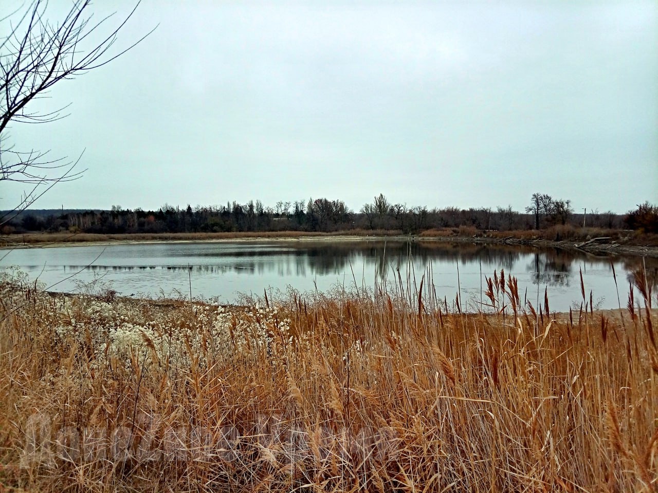 Дожди не помогли: из Питьевого пруда в Кировском районе Донецка продолжает убывать вода Дожди не помогли: из Питьевого пруда в Кировском районе Донецка продолжает убывать вода