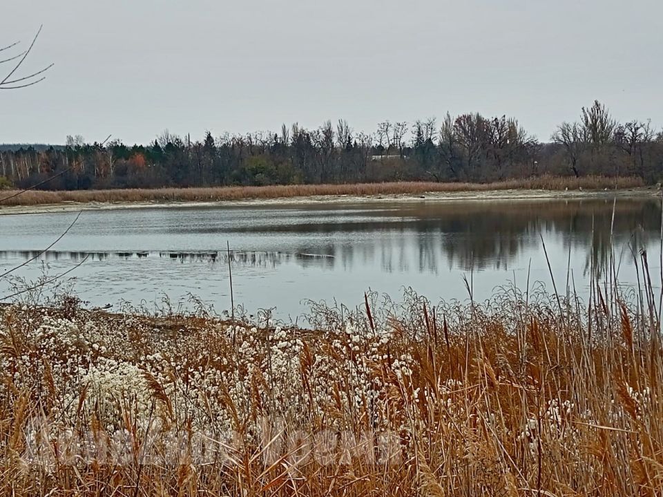 ����� �� �������: �� ��������� ����� � ��������� ������ ������� ���������� ������� ����