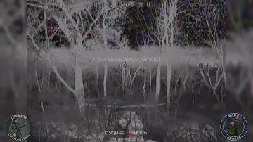 Операторы ФПВ наказали украинских артаводов на Акации под Покровском в районе н.п. Мирное