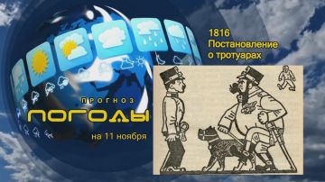  .                  ,         