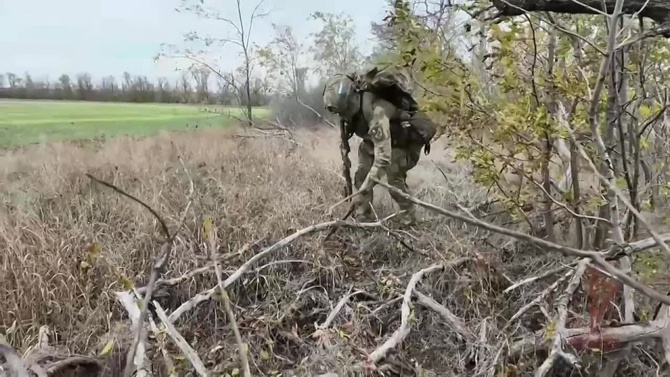 В ДНР росгвардейцы обнаружили крупный схрон ВСУ