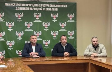 В ДНР доставят саженцы сосны, выращенной в Лужском лесном селекционно-семеноводческом центре, для восстановления лесов Республики, пострадавших в результате боевых действий