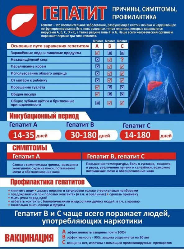 Гепатит A. Что такое гепатит A? Гепатит A — это острое инфекционное заболевание печени, вызванное вирусом гепатита A (HAV)