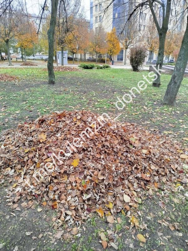 Специалисты коммунального предприятия «Зелёное строительство» продолжают благоустройство во всех районах нашего города Специалисты коммунального предприятия «Зелёное строительство» продолжают благоустройство во всех районах нашего города