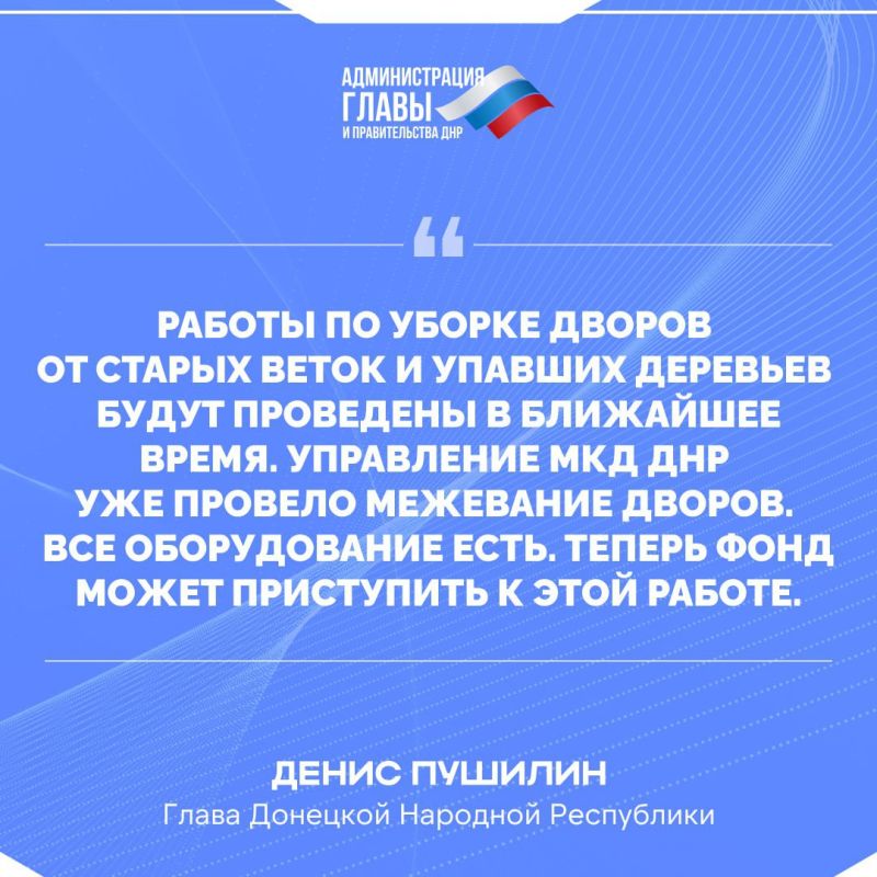 Денис Пушилин об уборке дворов от веток и упавших деревьев