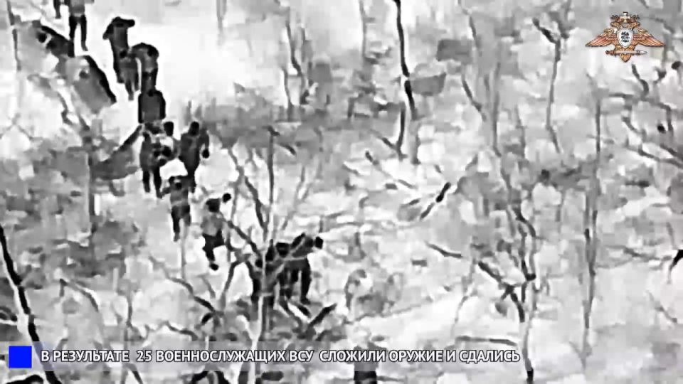 Заявляется как одновременная сдача 25 солдат из 38-й отдельной бригады морской пехоты ВМСУ под Мирноградом, однако в конце допрашивают лишь пятерых Заявляется как одновременная сдача 25 солдат из 38-й отдельной бригады морской пехоты ВМСУ под Мирноградом, однако в конце допрашивают лишь пятерых