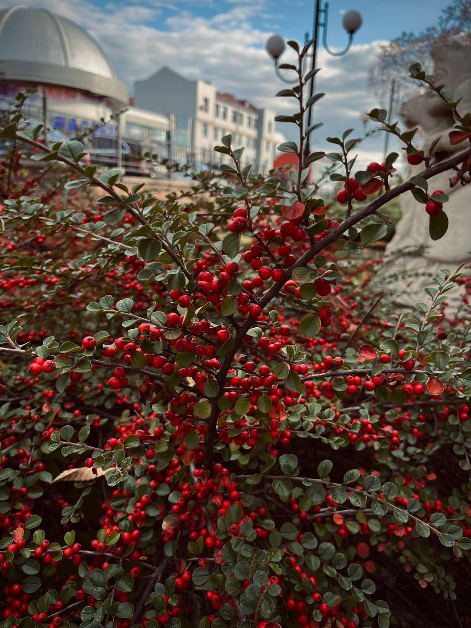 Ноябрьское чудо: осенний Донецк великолепен! Ноябрьское чудо: осенний Донецк великолепен!