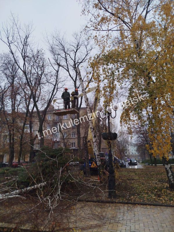 ������� ��������: ���������� ������������� ����������� ������� ������������� ���������� ������ � ��������������� ������ ������