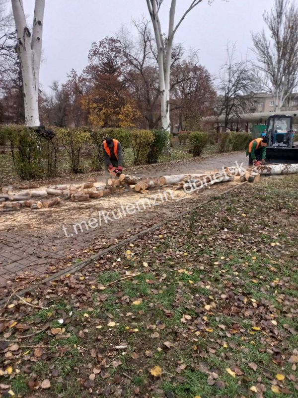 ������� ��������: ���������� ������������� ����������� ������� ������������� ���������� ������ � ��������������� ������ ������