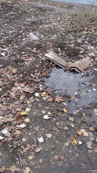 Вода и тепло в домах жителей Республики на контроле депутатов