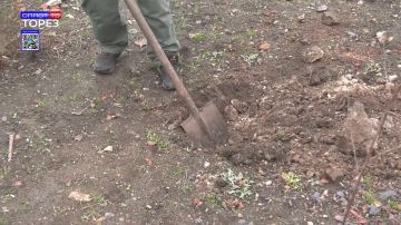 10 ноября по инициативе филиала фонда «Защитники Отечества» в ДНР в поселке Рассыпное, неподалеку от мемориала «Никто не забыт, ничто не забыто», воздвигнутого летом силами неравнодушных местных жителей, высадили 30 саженцев...