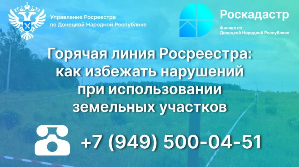 Горячая линия Росреестра: как избежать нарушений при использовании земельных участков