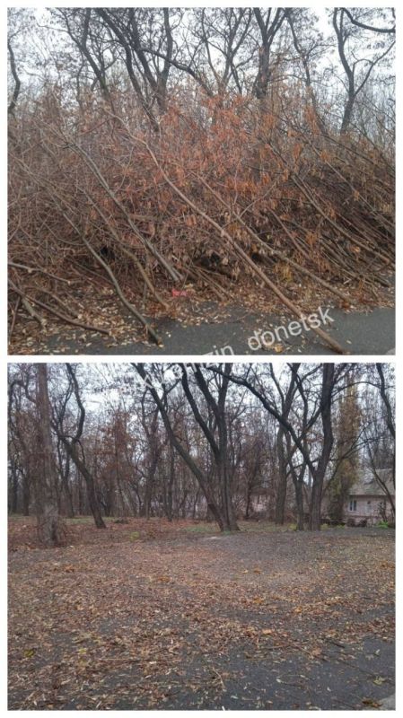 ������� ��������: ���������� ������������� ����������� ������� ������������� ���������� ������ � ��������������� ������ ������