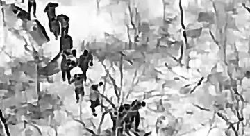 «В Мирнограде, который фактически оказался в окружении, в плен сдались 25 военнослужащих 38-й отдельной бригады морской пехоты ВСУ