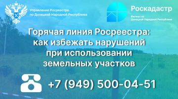 Горячая линия Росреестра: как избежать нарушений при использовании земельных участков