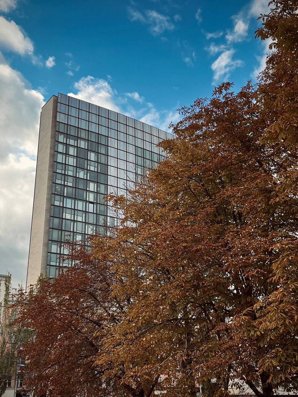 Ноябрьское чудо: осенний Донецк великолепен! Ноябрьское чудо: осенний Донецк великолепен!