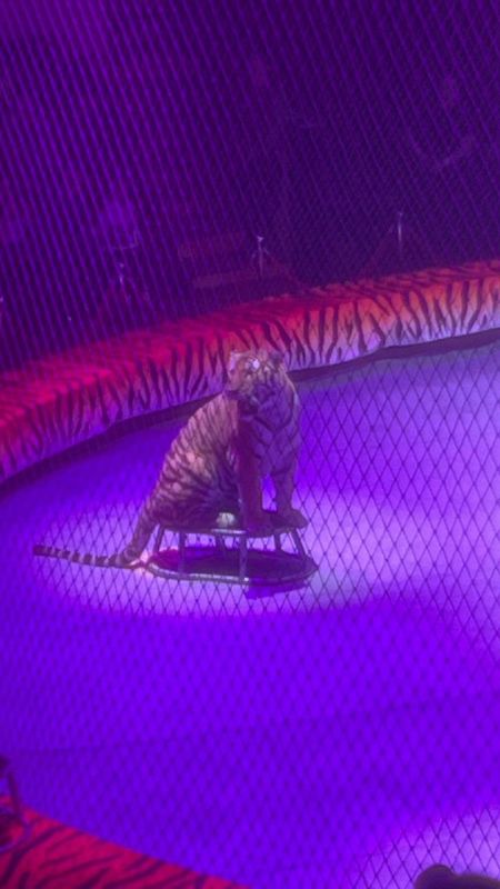 ������� ������: ������� � ������ ������ �������� ��������� ������ ��� �� ��������� ���������� ��� ������� �������� �����������