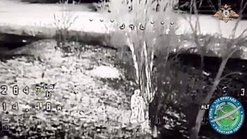 Дроны 132 бригады ВС РФ уничтожают противника