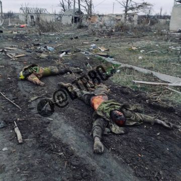 Группа украинских нацистов уничтожена в боях под Покровском