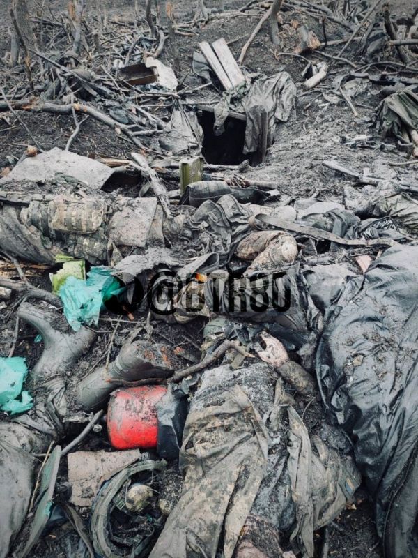 ������ ���������� �������� ���������� � ���� ��� ����������