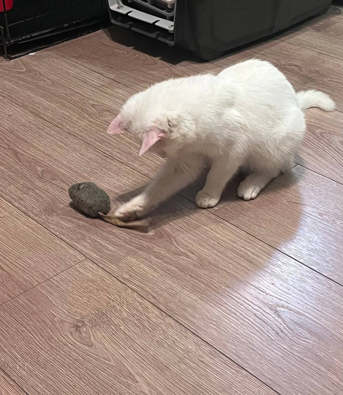 Вот такая красота осталась бесхозной в Москве и скоро будем вынуждены возвращать его в Донецк из Москвы Вот такая красота осталась бесхозной в Москве и скоро будем вынуждены возвращать его в Донецк из Москвы