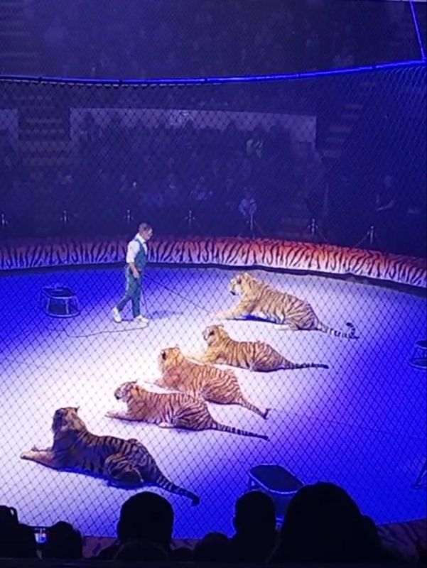 ������� ������: ������� � ������ ������ �������� ��������� ������ ��� �� ��������� ���������� ��� ������� �������� �����������