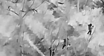 В сети появились кадры сдачи в плен под Покровском группы военнослужащих элитной 38-й бригады морской пехоту ВСУ