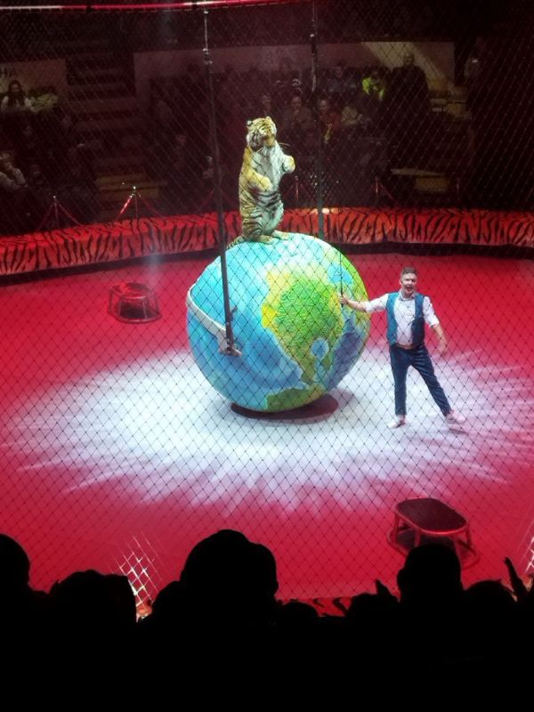 ������� ������: ������� � ������ ������ �������� ��������� ������ ��� �� ��������� ���������� ��� ������� �������� �����������