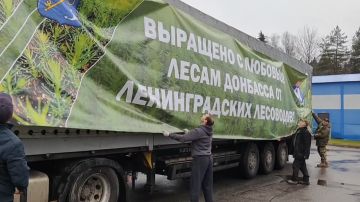 Владимир Ежиков: Ленобласть вырастила для восстановления лесов в ДНР 740 тысяч сеянцев сосны